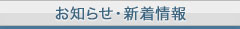 m点EV